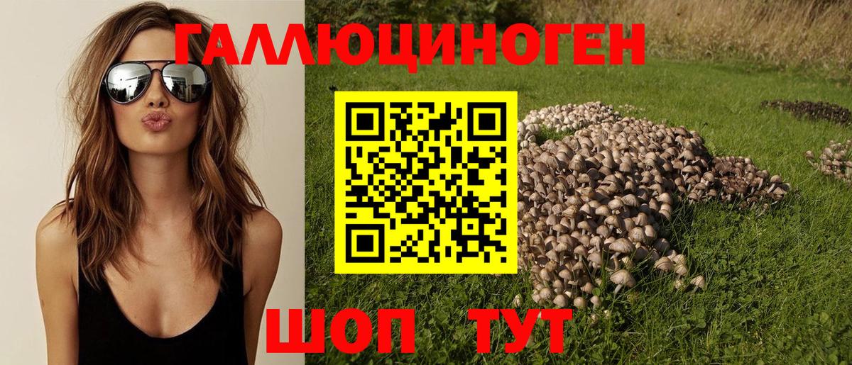 Владимир  Псилоцибиновые грибы мицелий  Вход с VPN 